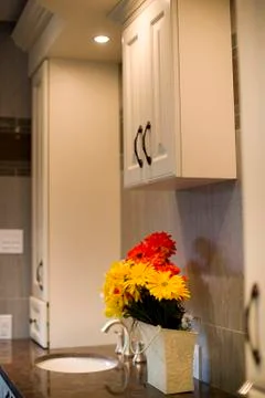 “ DSC7966”为智能对象-1 Stock Photos