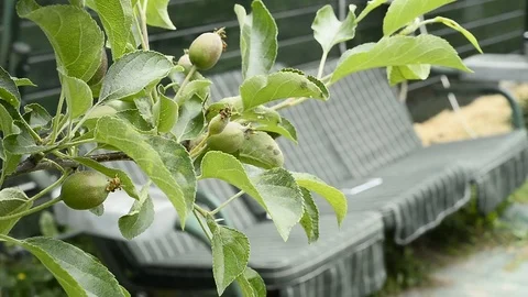  DSC8843 Stock Footage 110732872