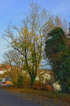 DSCF0017 Stock Photos