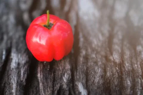 DSCF0265kh Stock Photos