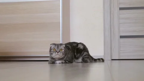 DSCF0269 Stock Footage 149411857