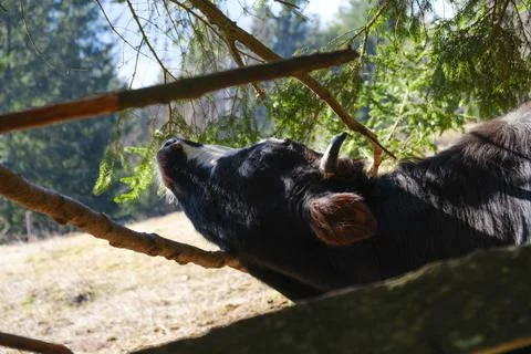 DSCF0281 Stock Photos