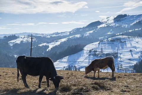 DSCF0566 Stock Photos