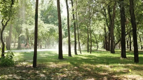 DSCF1045 Stock Footage 341074587