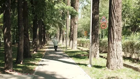 DSCF1063 Stock Footage 341081668