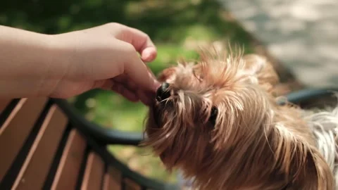 DSCF1076 2 Stock Footage 341084128