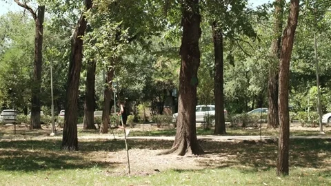 DSCF1077 Stock Footage 341084545
