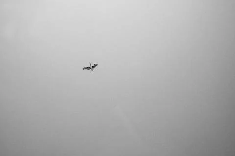 DSCF1149 Stock Photos