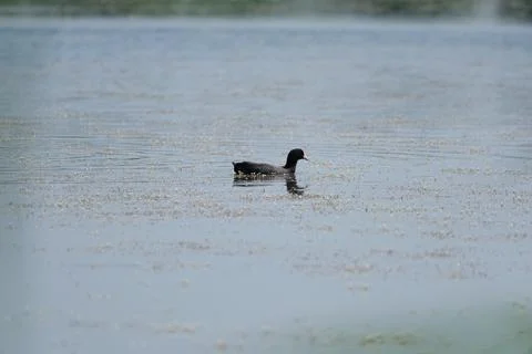 DSCF1960 Stock Photos