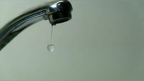 DSCF2139 1 Stock Footage 145012547