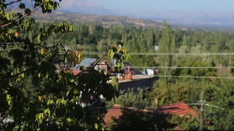 DSCF2200 Stock Footage 148482484