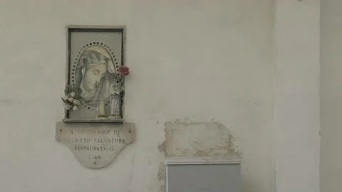 DSCF2556 Stock Footage 169466565