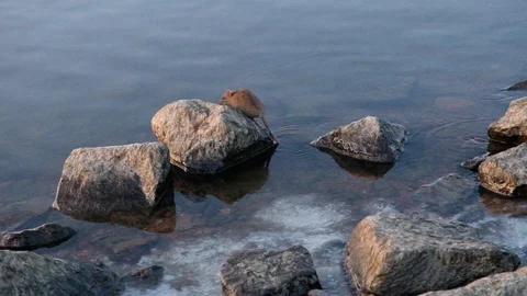 DSCF3135 Video stock 120333694