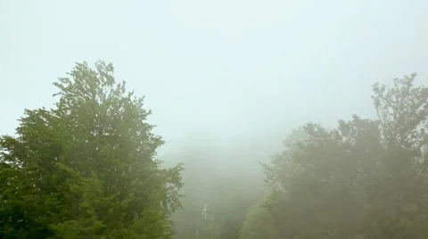 DSCF3155 1 Vidéo 7130680