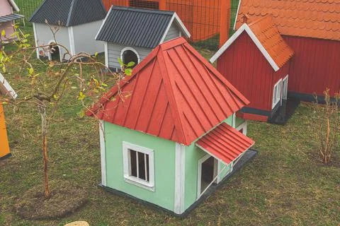 DSCF3319 Stock Photos