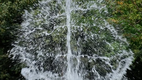 DSCF368000 Stock Footage 123783127