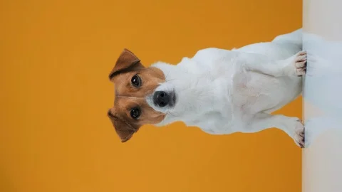 DSCF4209 Stock Footage 128892434