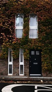 DSCF4804 Stock Photos