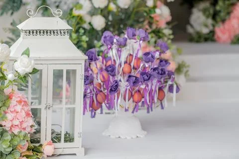 DSCF6012 Stock Photos