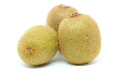 DSCF6481 Stock Footage 90467628