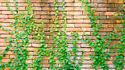 DSCF8044 Stock Photos