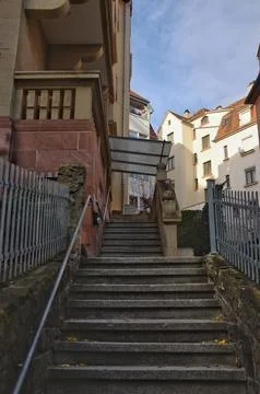 DSCF9902 Stock Photos