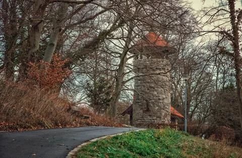 DSCFTower in the Forest Stock Photos