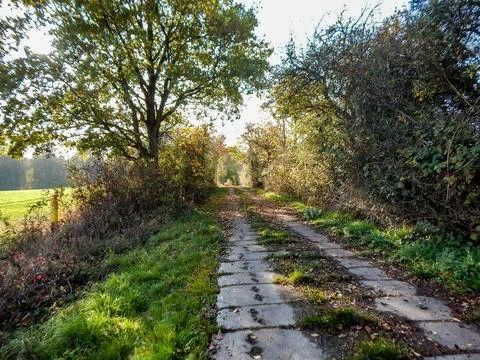 DSCN6667 Stock Photos