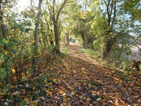 DSCN6669 Stock Photos