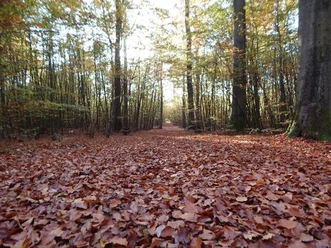 DSCN6693 Stock Photos