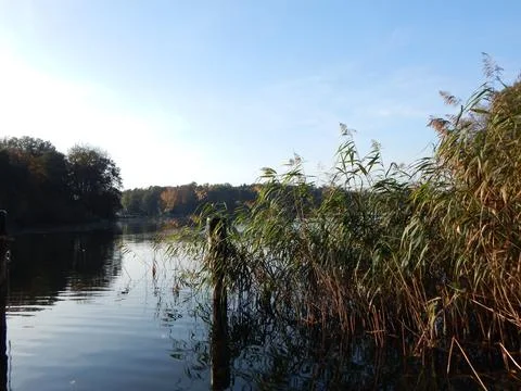 DSCN6709 Stock Photos