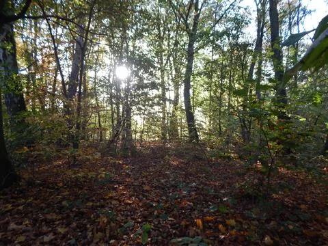 DSCN6716 Stock Photos