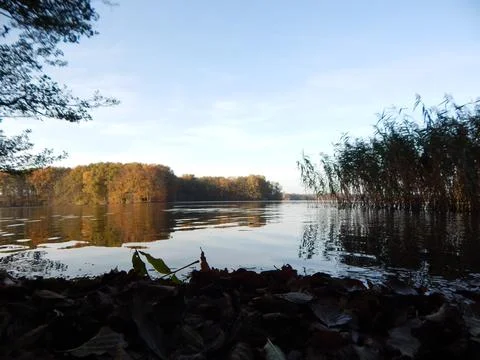 DSCN6719 Stock Photos