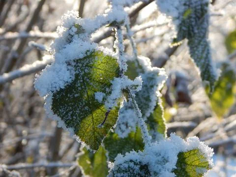 DSCN6748 Stock Photos