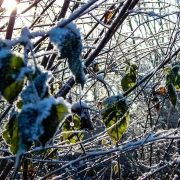 DSCN6749 Stock Photos