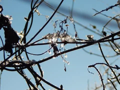 DSCN6773 Stock Photos