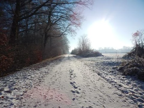 DSCN6776 Stock Photos