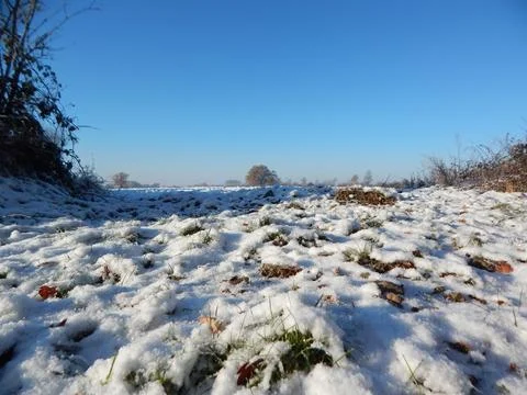 DSCN6777 Stock Photos