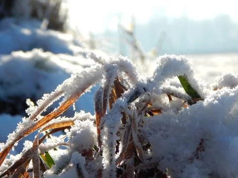 DSCN6780 Stock Photos