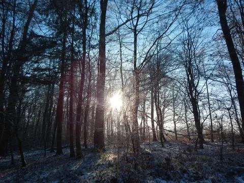 DSCN6782 Stock Photos