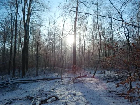 DSCN6795 Stock Photos