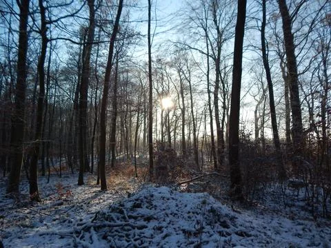 DSCN6800 Stock Photos