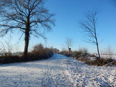 DSCN6801 Stock Photos