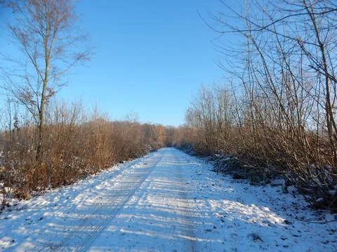 DSCN6803 Stock Photos