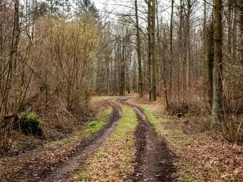 DSCN6918 Stock Photos