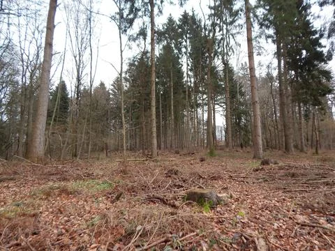 DSCN6921 Stock Photos