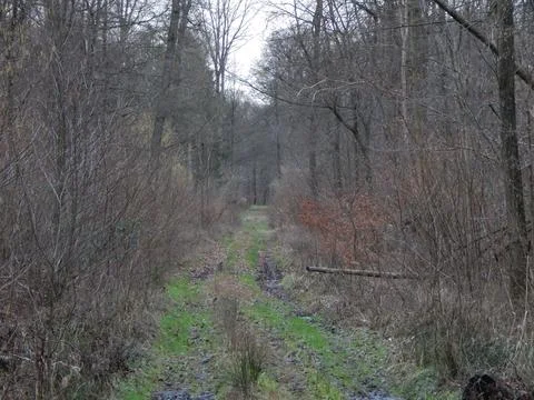 DSCN6954 Stock Photos