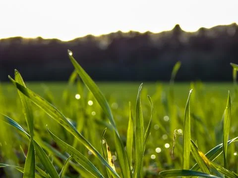 DSCN6979 Stock Photos