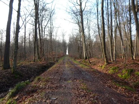 DSCN6995 Stock Photos