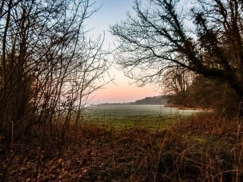 DSCN7077 Stock Photos